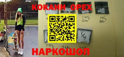 индика Новозыбков