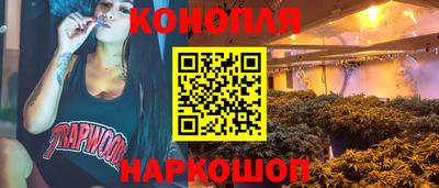 индика Новозыбков