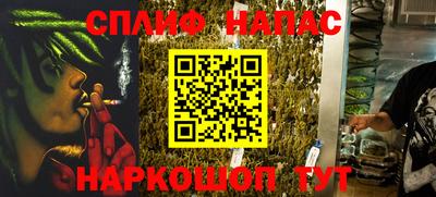 индика Новозыбков