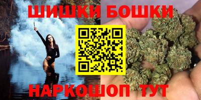 индика Новозыбков
