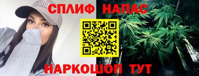 индика Новозыбков