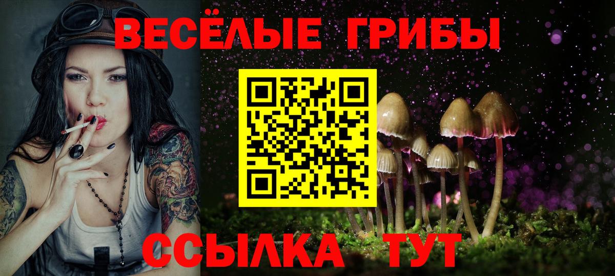 Псилоцибиновые грибы мухоморы  Вход с VPN  Щёлково 